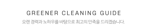 더푸른청소_중간제목_내용