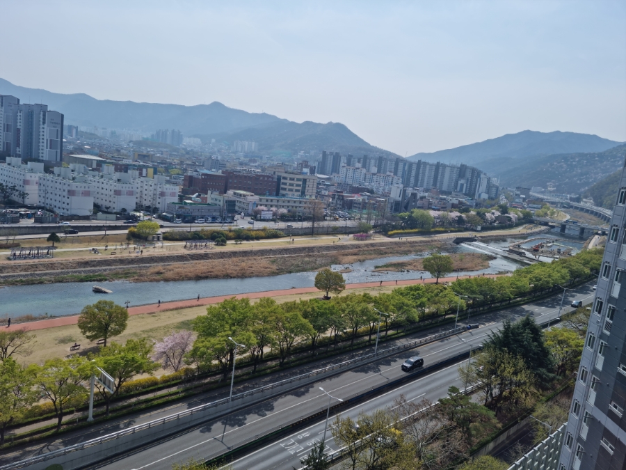 /user/g/greenercleaning/editor/2405/3a1739cd7e1ab1afd132db27efc495fe_1715594541_6757.jpg 이미지크게보기