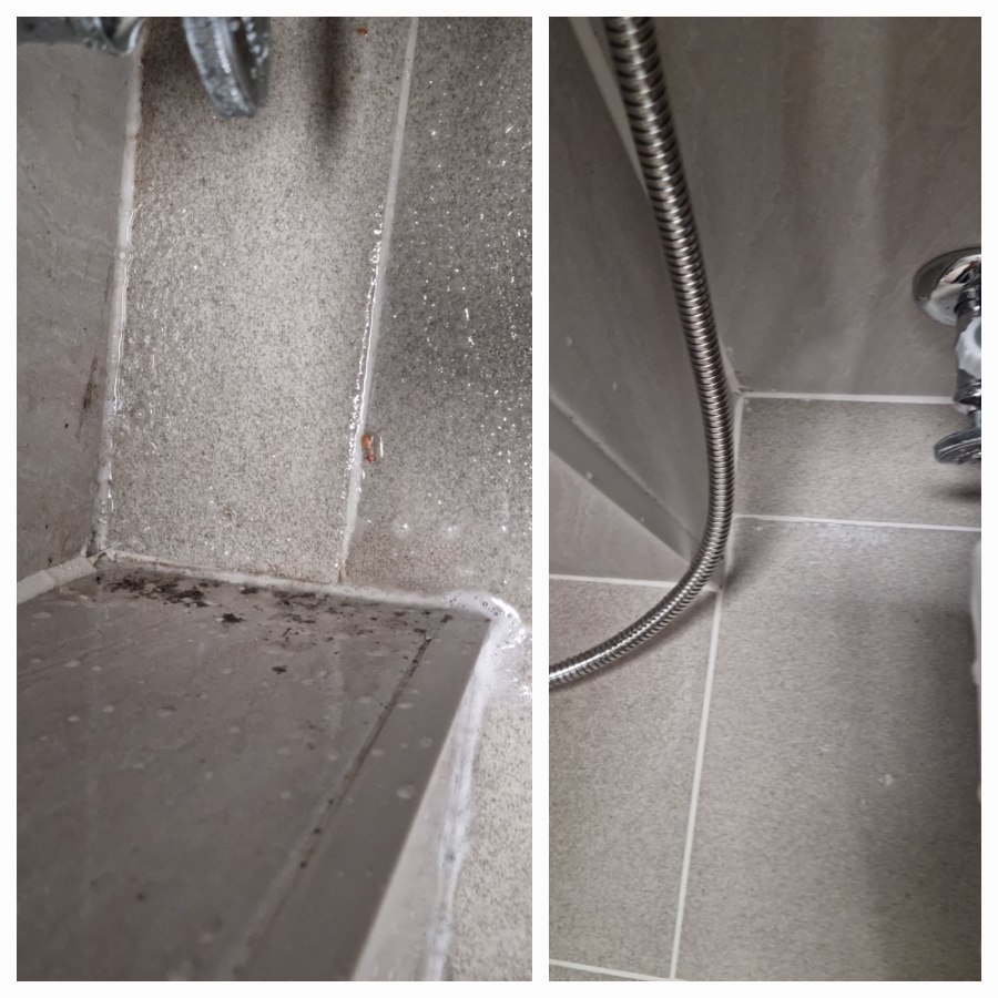 /user/g/greenercleaning/editor/2405/3a1739cd7e1ab1afd132db27efc495fe_1715595254_3639.jpg 이미지크게보기