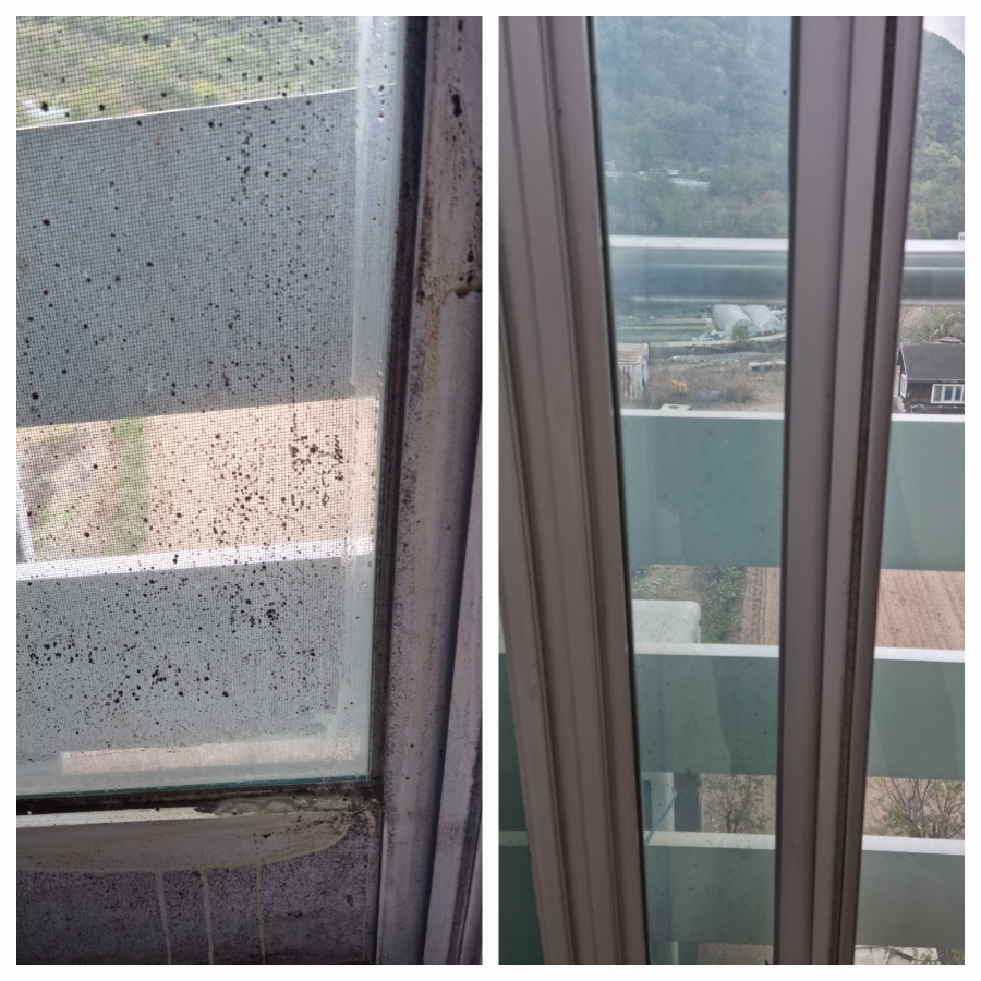 /user/g/greenercleaning/editor/2405/3a1739cd7e1ab1afd132db27efc495fe_1715595613_4689.jpg 이미지크게보기