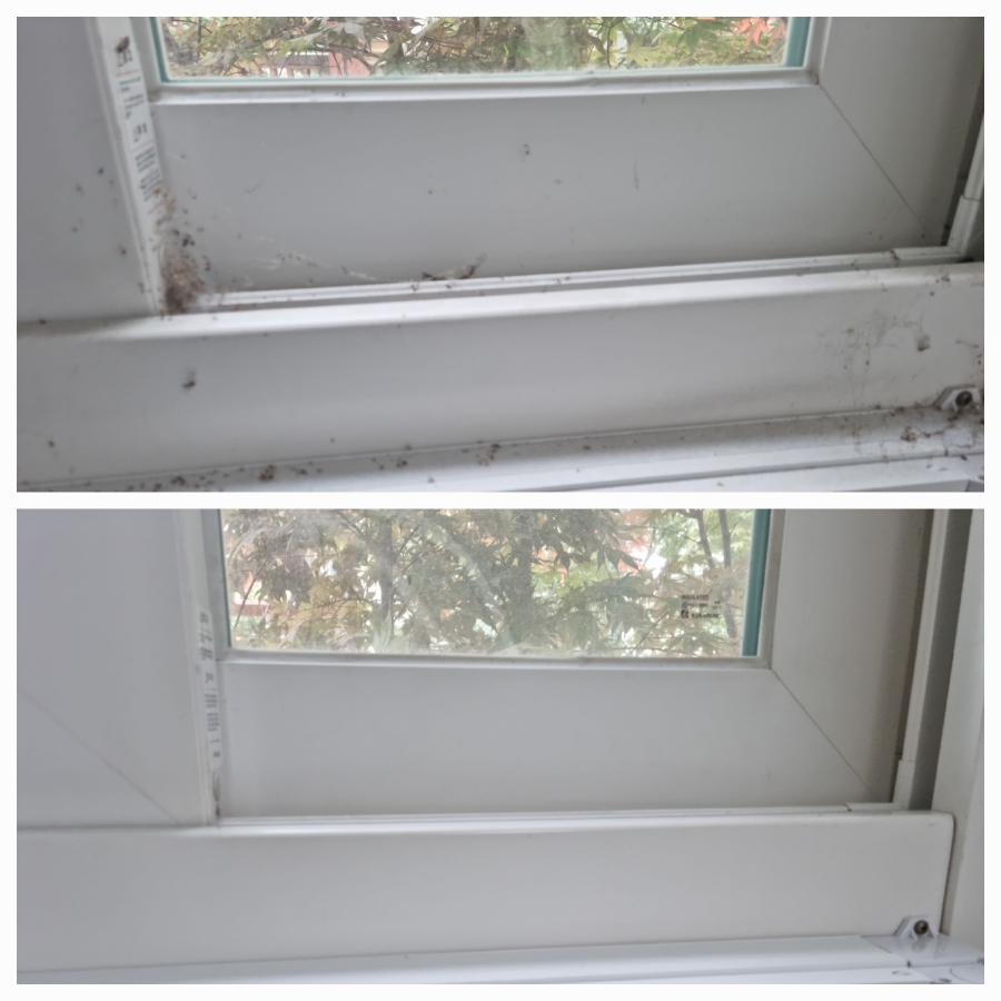 /user/g/greenercleaning/editor/2405/3a1739cd7e1ab1afd132db27efc495fe_1715596918_7482.jpg 이미지크게보기