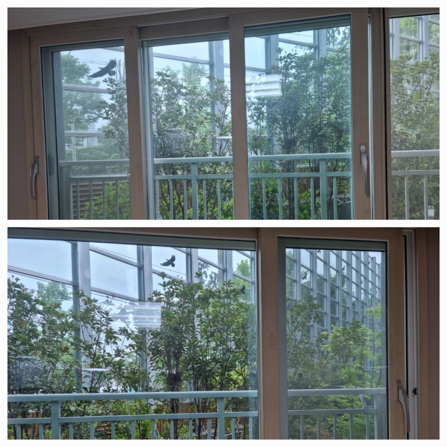/user/g/greenercleaning/editor/2405/3a1739cd7e1ab1afd132db27efc495fe_1715596918_8157.jpg 이미지크게보기