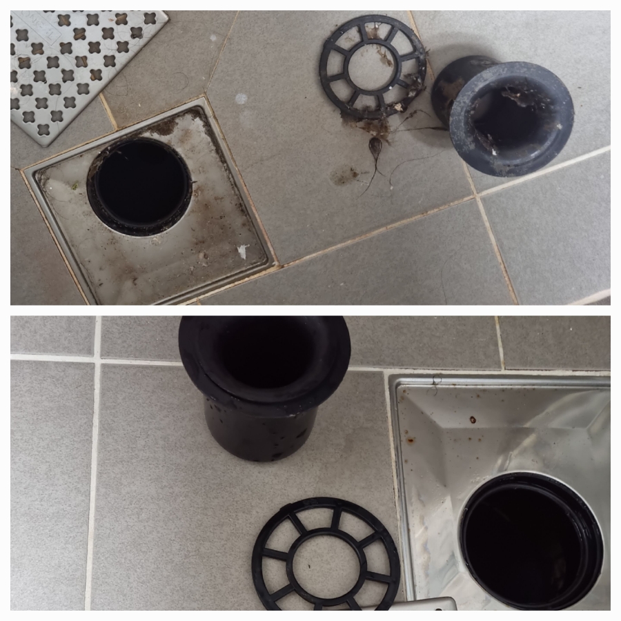/user/g/greenercleaning/editor/2405/3a1739cd7e1ab1afd132db27efc495fe_1715596929_8935.jpg 이미지크게보기