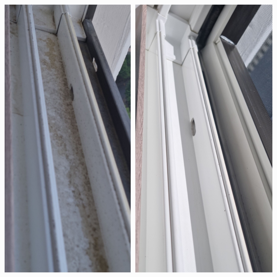 /user/g/greenercleaning/editor/2405/3a1739cd7e1ab1afd132db27efc495fe_1715597730_9316.jpg 이미지크게보기