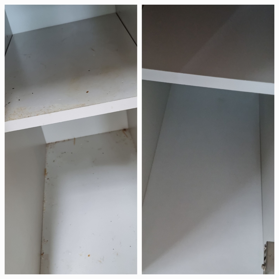 /user/g/greenercleaning/editor/2405/3a1739cd7e1ab1afd132db27efc495fe_1715598407_0751.jpg 이미지크게보기