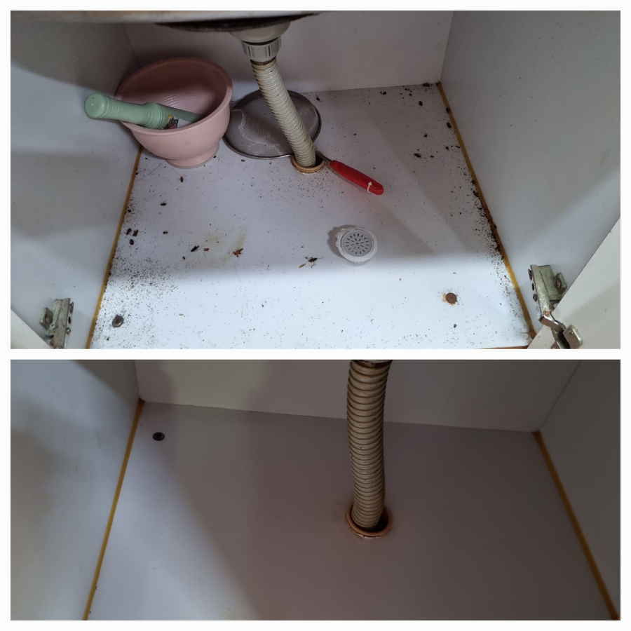 /user/g/greenercleaning/editor/2405/3a1739cd7e1ab1afd132db27efc495fe_1715598526_5452.jpg 이미지크게보기