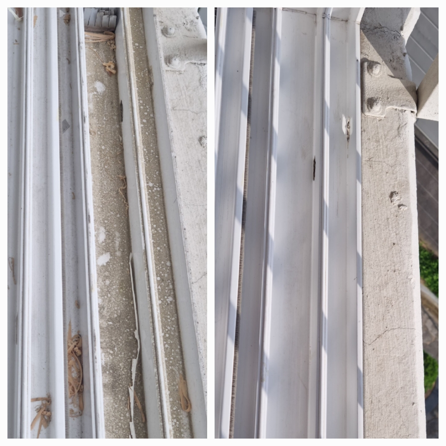 /user/g/greenercleaning/editor/2405/3a1739cd7e1ab1afd132db27efc495fe_1715610263_4115.jpg 이미지크게보기